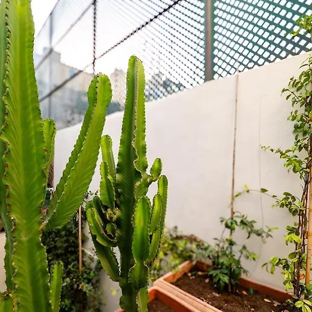 דירה Brand New Stylish Principe Real With Patio
