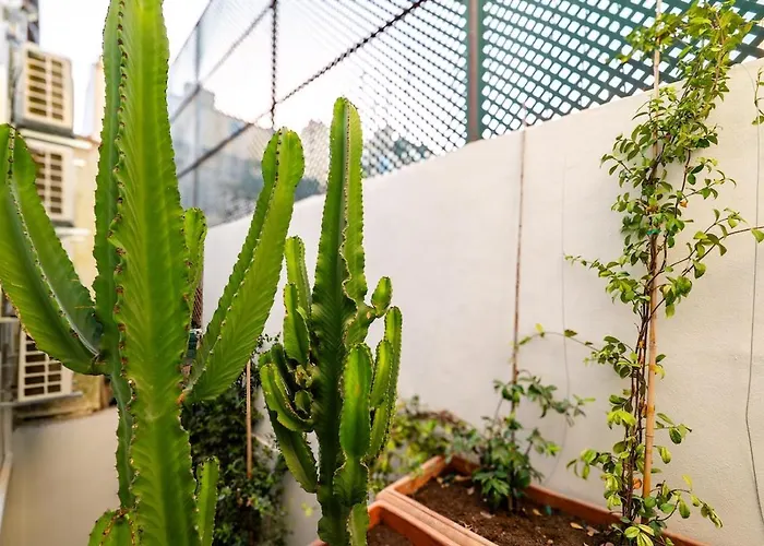 Apartament Brand New Stylish Principe Real With Patio